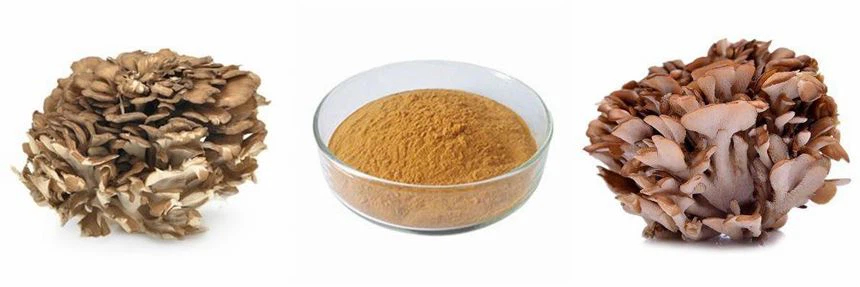 product-1-1 Maitake Extract Powder