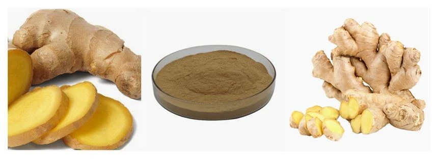 product-1-1 Gingerol Ginger Extract Powder