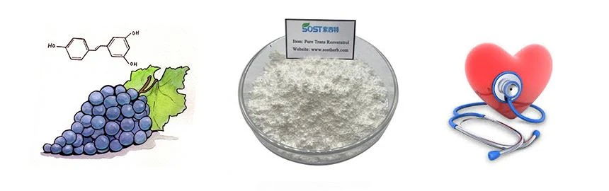 product-1-1 Resveratrol