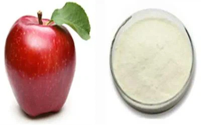 product-400-250 Apple Polyphenols powder