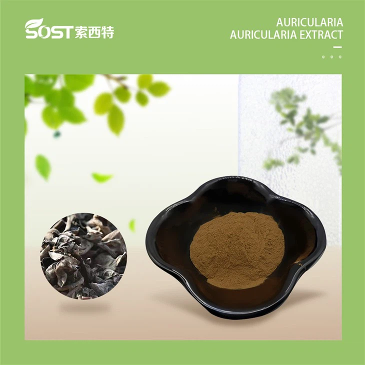 Auricularia Auricula Judae Extract