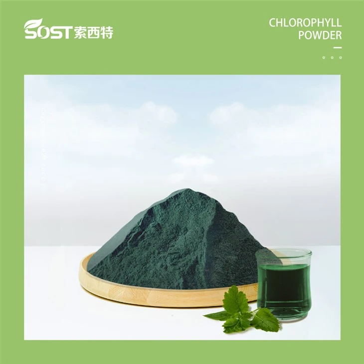 Natural Chlorophyll Powder