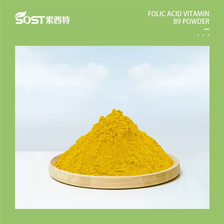 Folic Acid Vitamin B 9 Powder