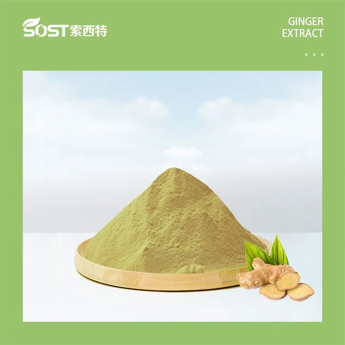 Gingerol Ginger Extract Powder