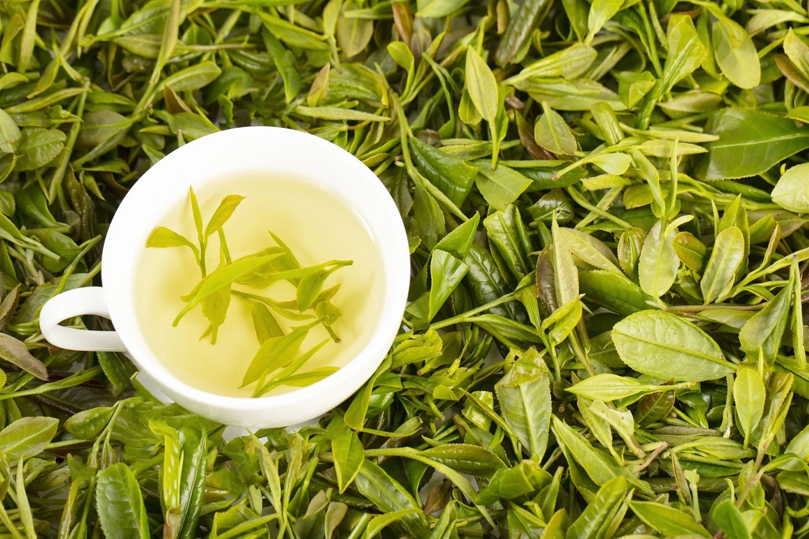 instant tea raw materials
