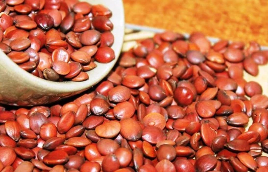 Ziziphus Jujuba Seed Extract Ziziphus Jujuba Seed Extract