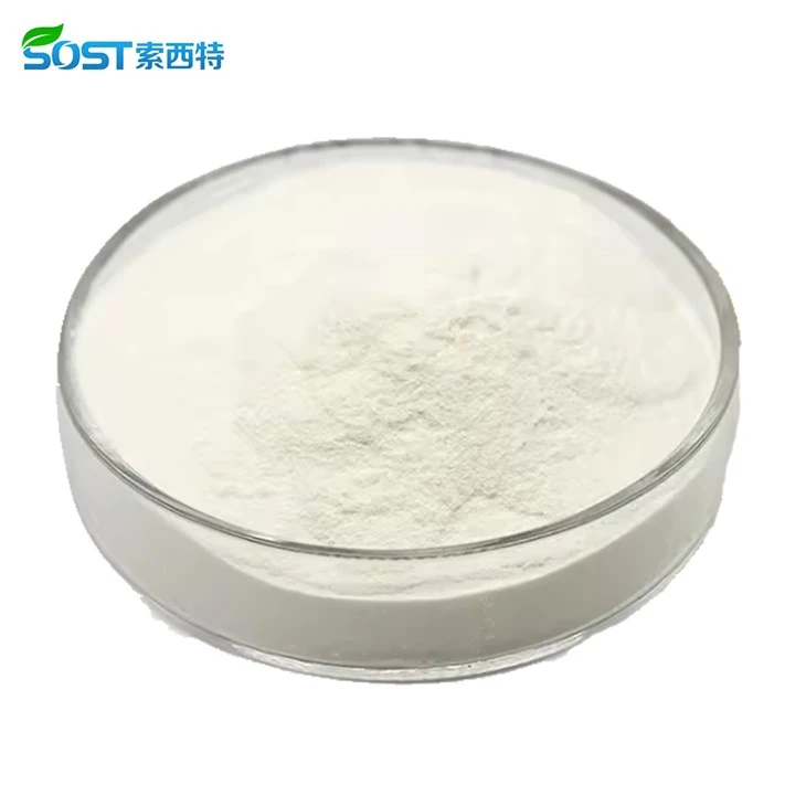 Dried Coconut Milk Powder3