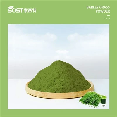 ผงข้าวบาร์เลย์สีเขียวที่ดีที่สุด