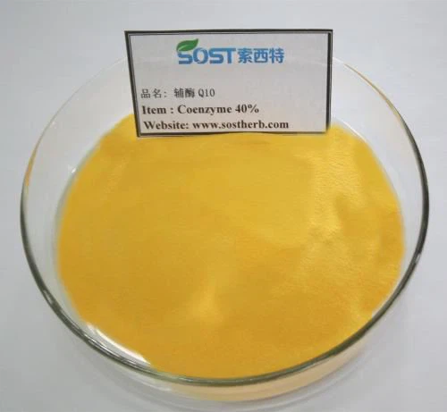 Coenzyme Q10 Bulk Powder