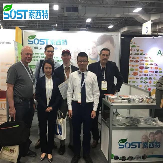 Silica Silicon Dioxide Powder