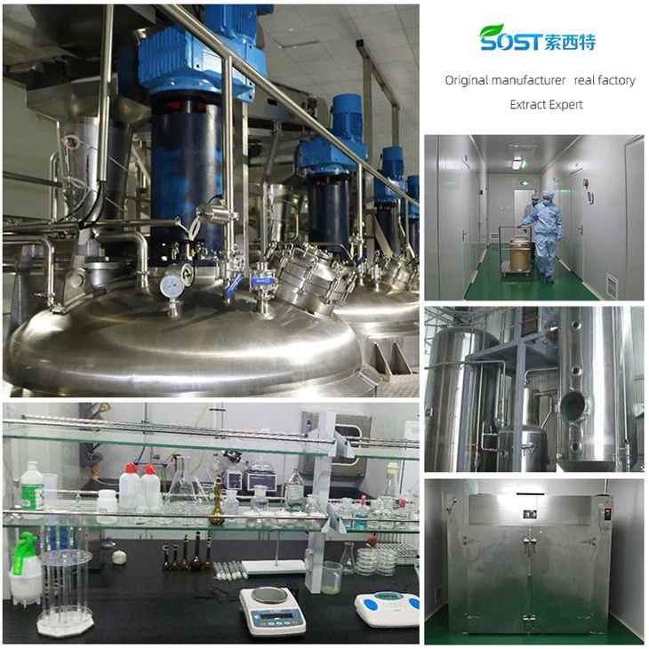Idebenone Extract Powder