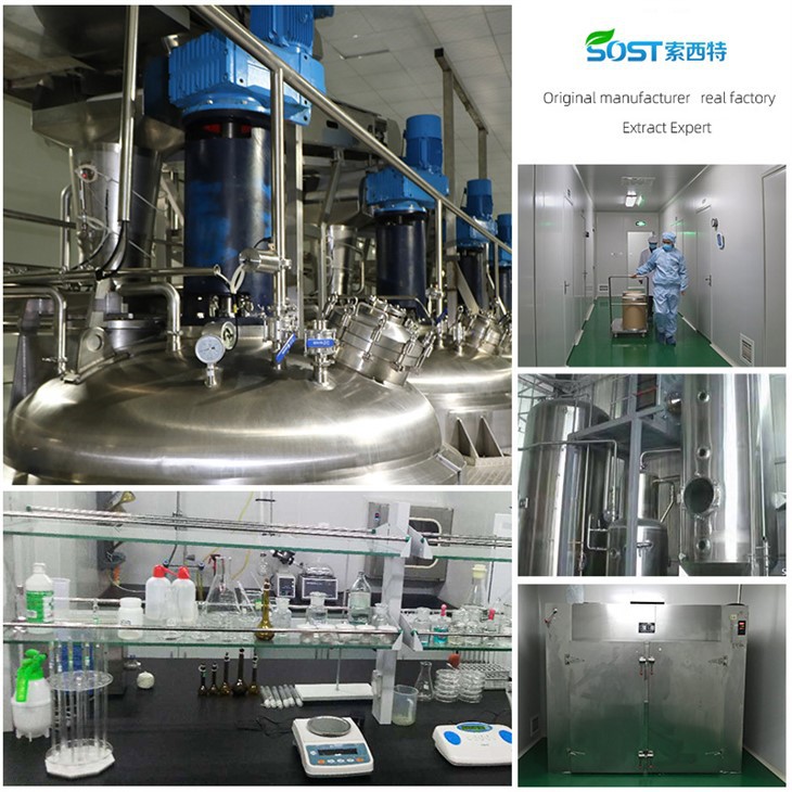 Persimmon Leaf Extract Powder