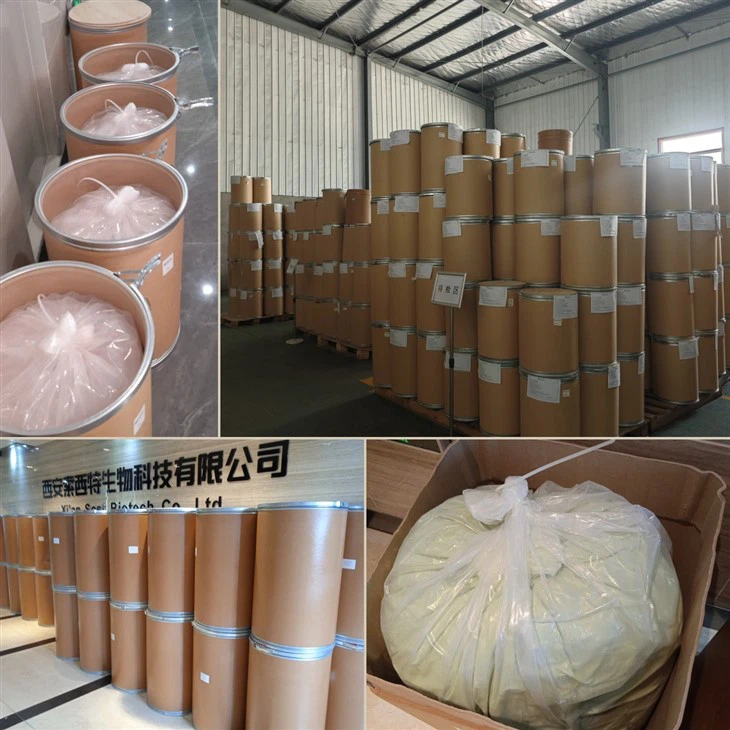 Auricularia Auricula Judae Extract best