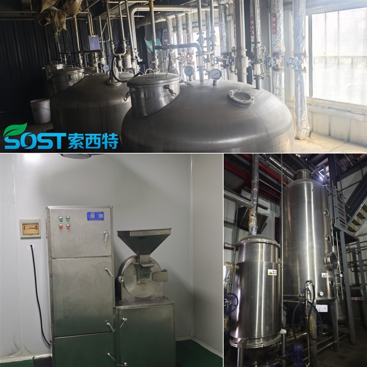 Green Barley Grass Juice Powder high quality